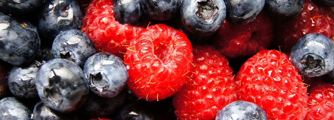 Berries frescos listos para exportación